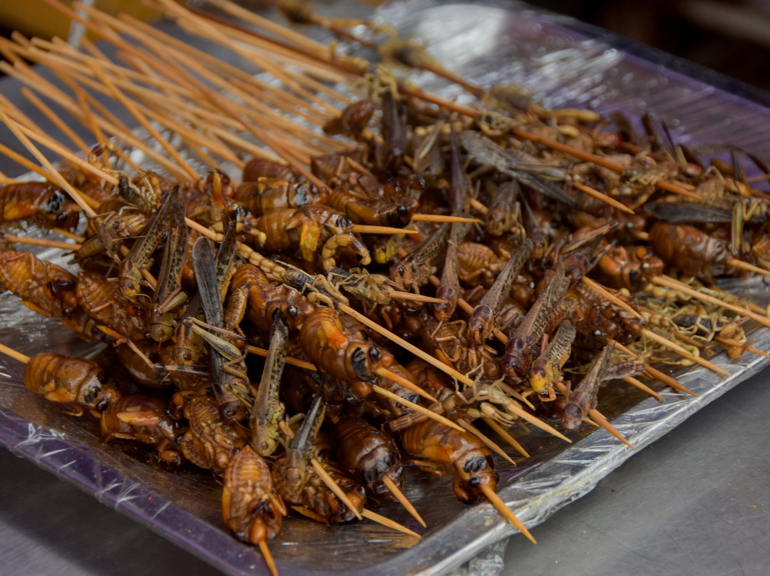 洛阳美术馆-洛阳市必去景点