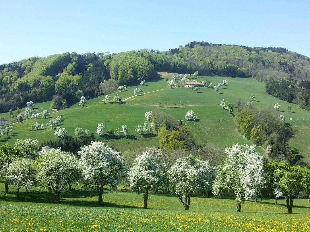 St. Peter in der Au餐馆和美食-Gasthaus z Zauchersteg Fam Scharnreitner