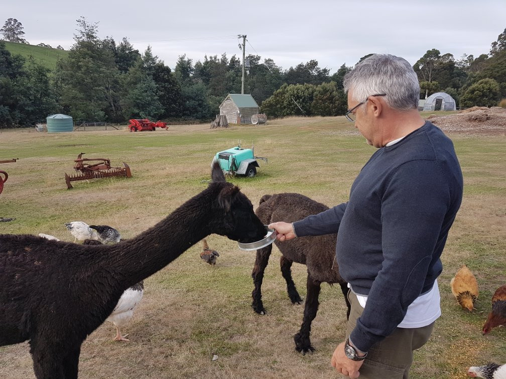 Tin Dragon Trail Cottages主图