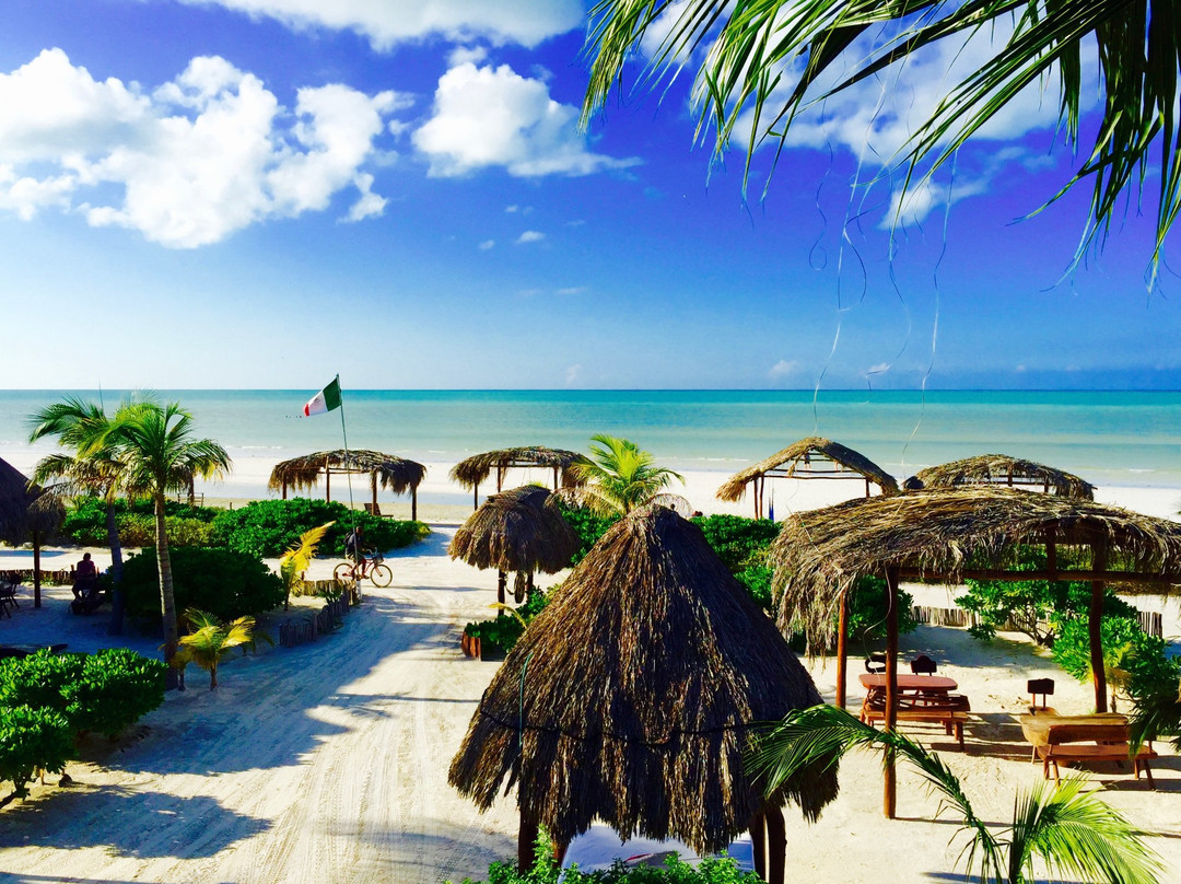 Hotel Casa Palapas Del Sol主图