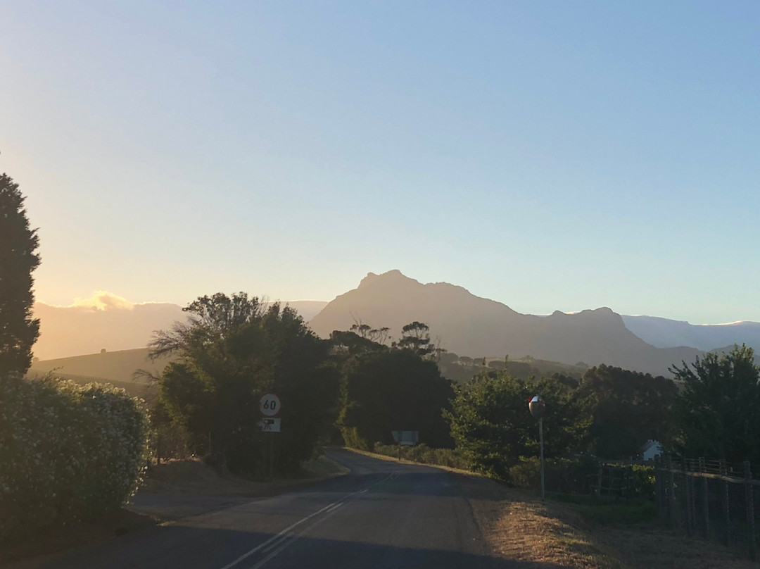 Overgaauw Wine Estate-斯泰伦博斯必去景点