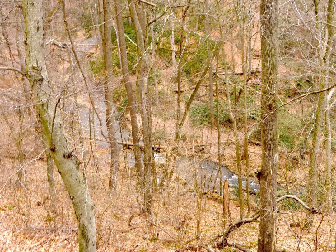 Tucquan Glen Nature Preserve景点图片