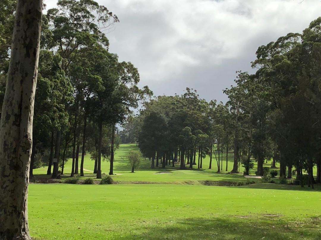 Hilltop - Mollymook Golf Club景点图片