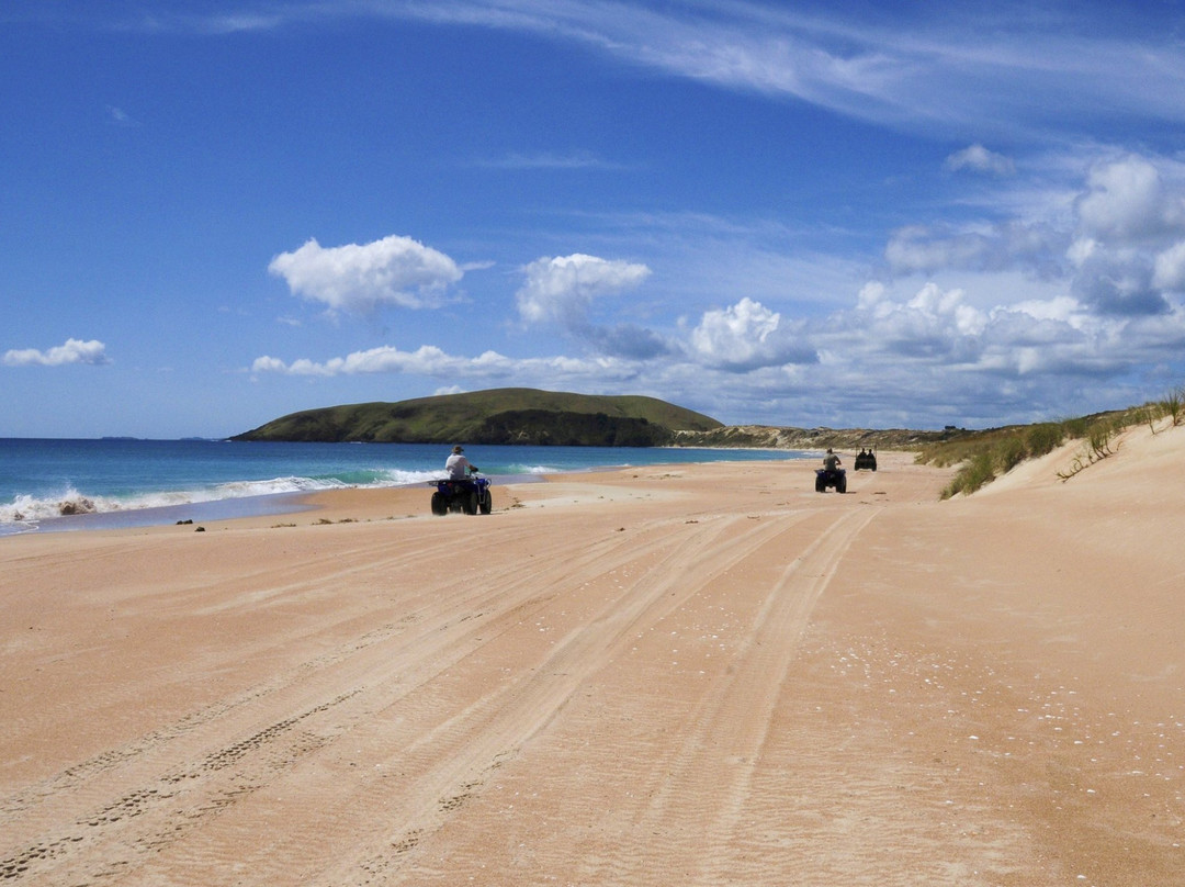Seatoys Private Quad Bike Tours-凯塔亚必去景点