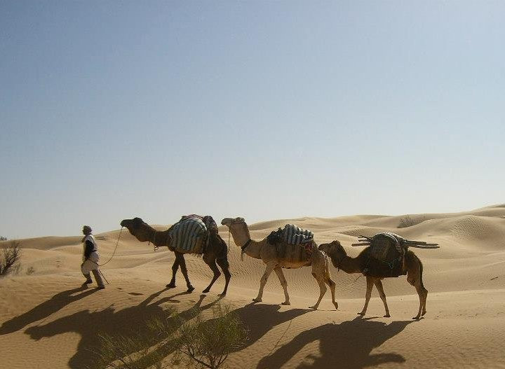 Silence Du Desert景点图片