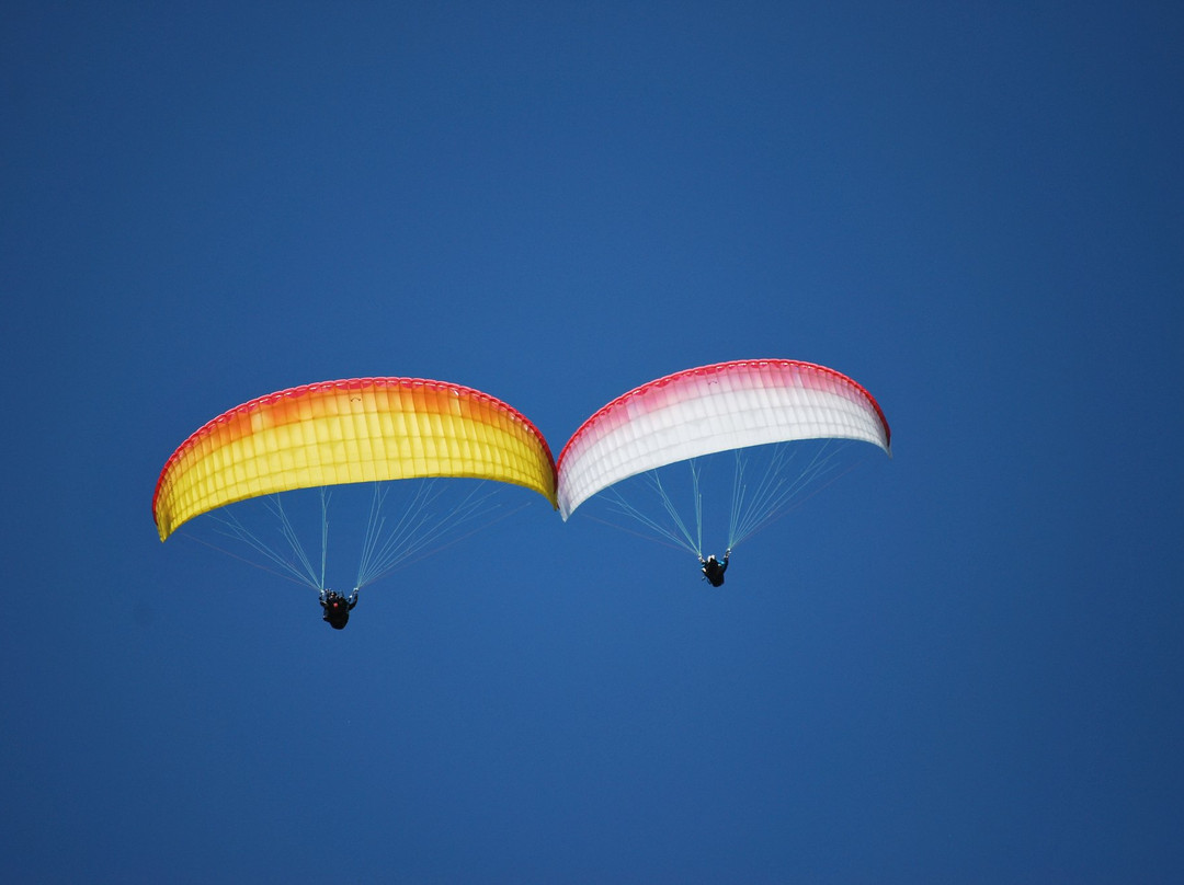 Volare in Parapendio景点图片