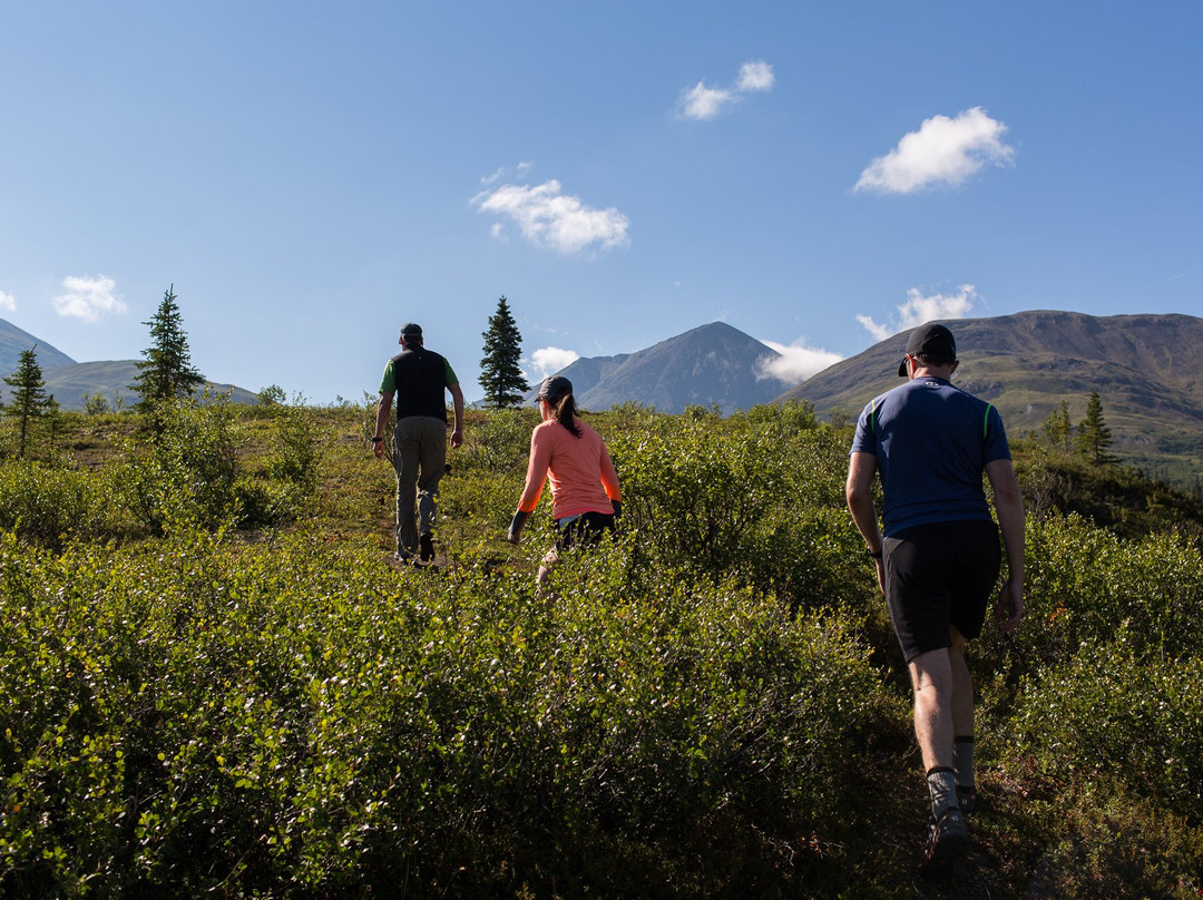 Traverse Alaska-德纳利国家公园和自然保护区必去景点
