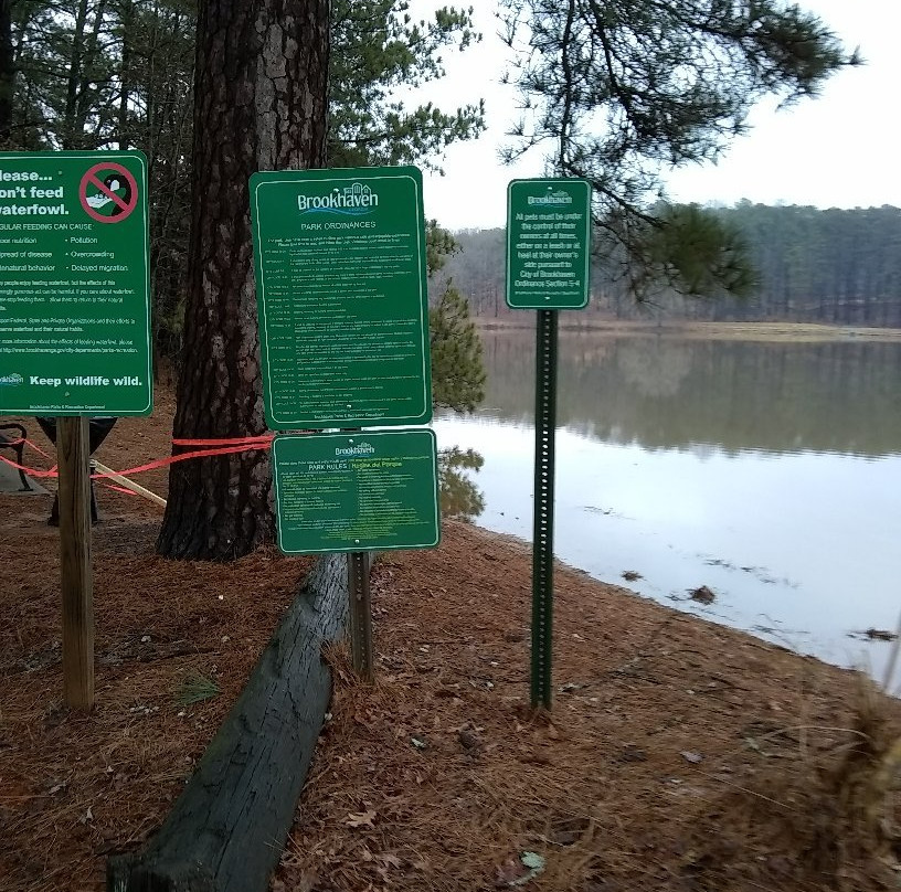 Murphey Candler Park-Brookhaven必去景点