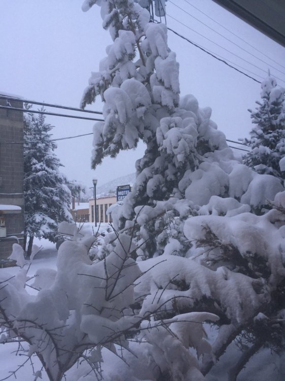 Jailhouse Motel & Casino-酒店景观