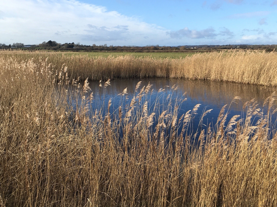 Wexford Wildfowl Reserve-Ardcavan必去景点