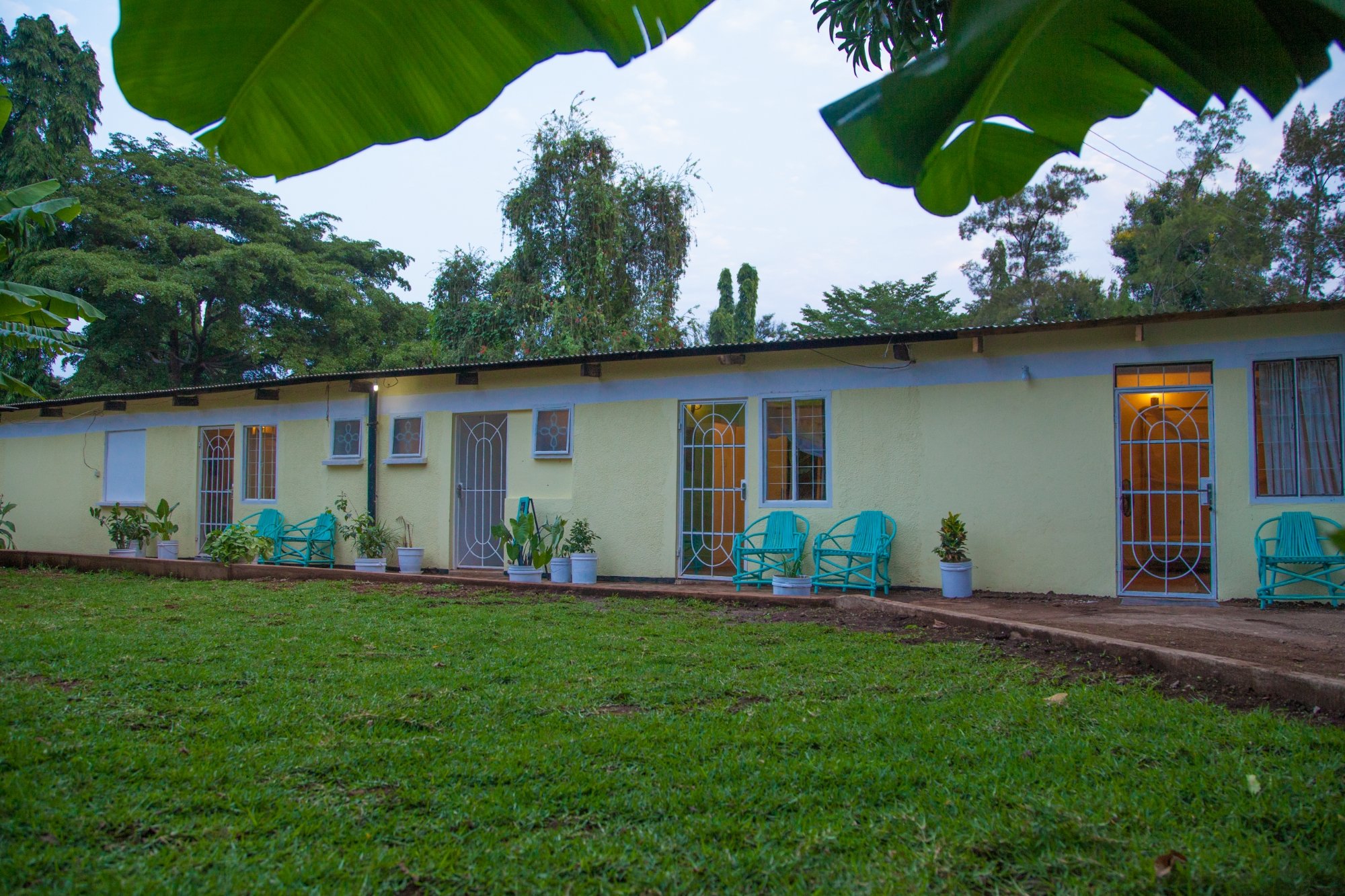 The Pink Daisy Bed and Breakfast-官方