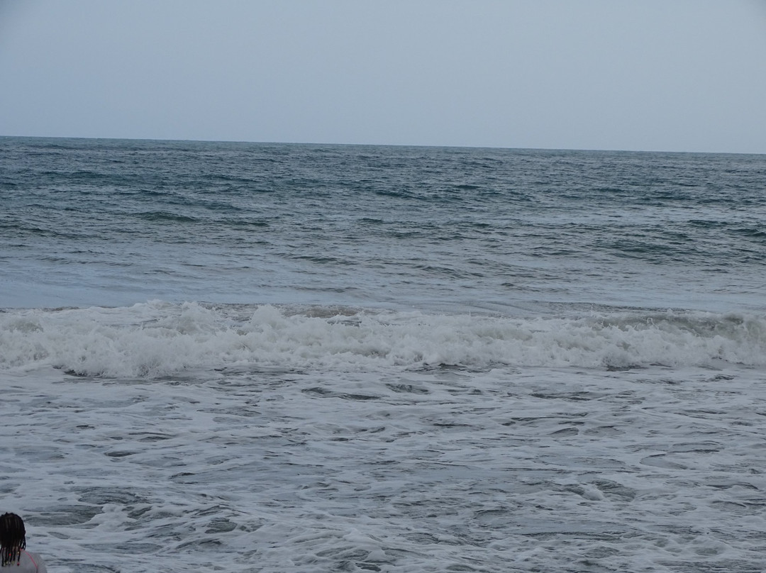 Beach Life Palomino-帕洛米诺必去景点