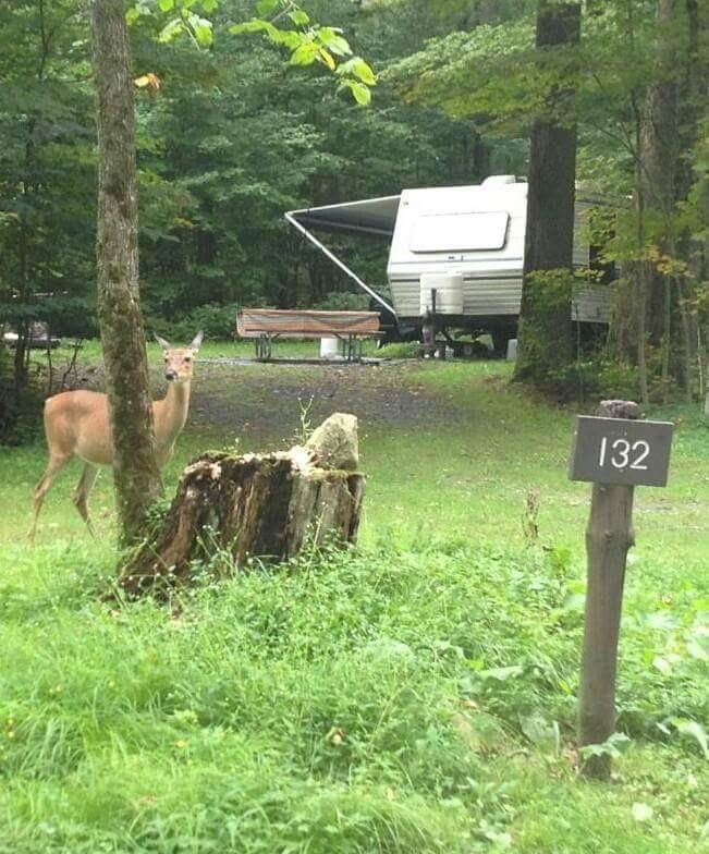Bowman Lake State Park-Oxford必去景点