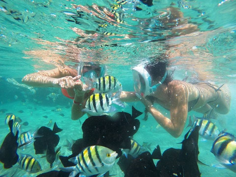 Malikia Resort Abu Dabbab