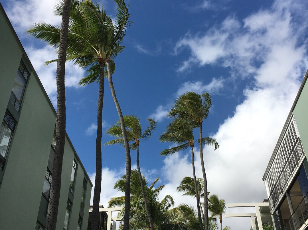 威基基海滩-火奴鲁鲁必去景点