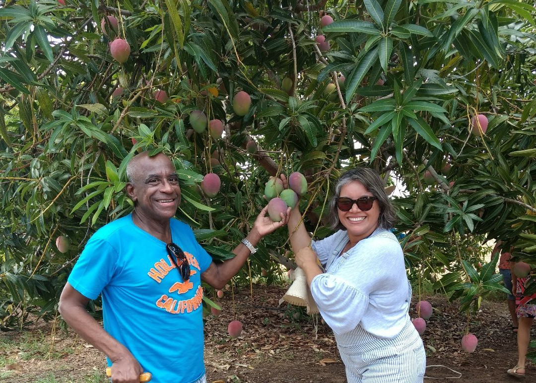 Vitivinicola Santa Maria-Lagoa Grande必去景点