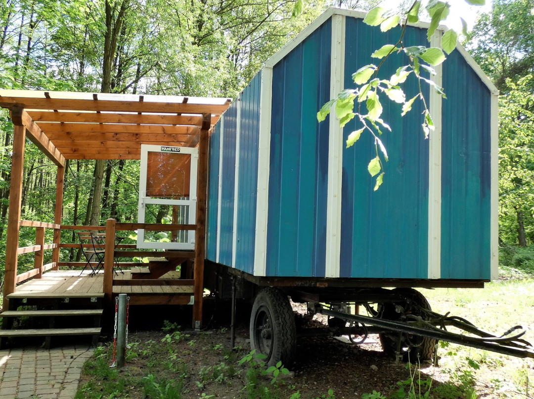 Waldschenke Stendenitz主图