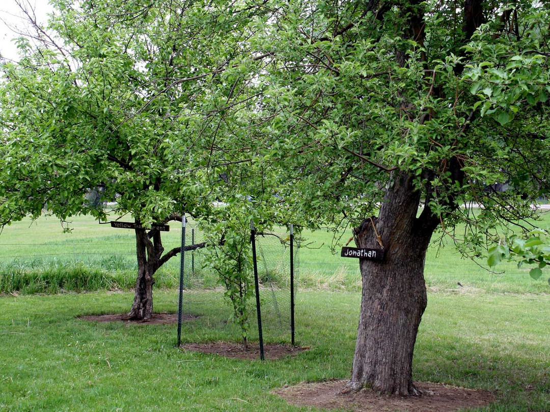 1883 Water Works-科林斯堡必去景点