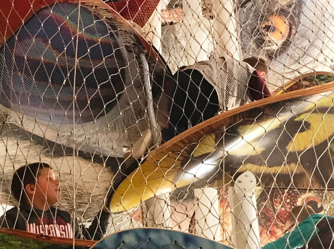 Children's Museum of La Crosse-拉克罗斯必去景点