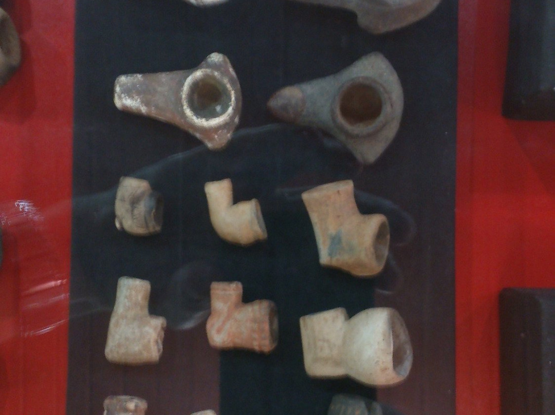 Indigena Antonio Adauto Leite Museum of Archaeology-Carmo Do Rio Claro必去景点