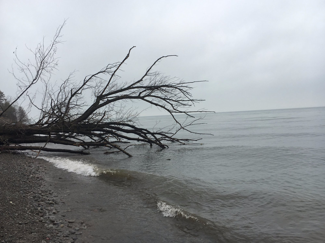 Wilson-Tuscarora State Park景点图片