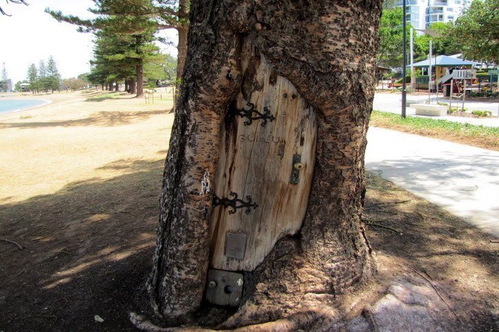 The Gollum Tree景点图片