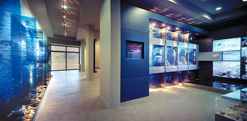 Alexandroupolis Natural History Museum-亚历山德鲁波利必去景点