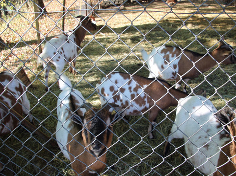 Val-de-Chalvagne旅游攻略图片