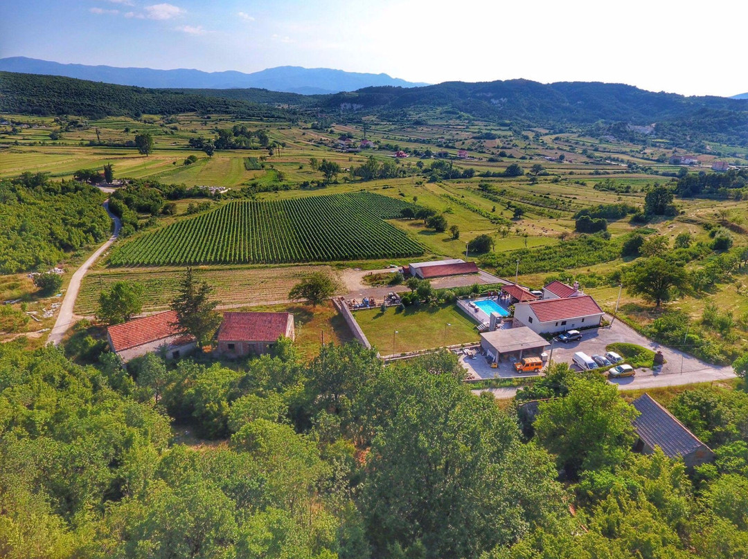 Krolo Winery景点图片