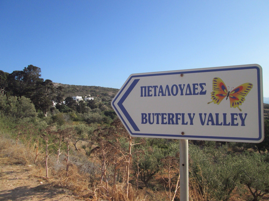 Butterflies Nature Reserve-帕罗斯岛必去景点