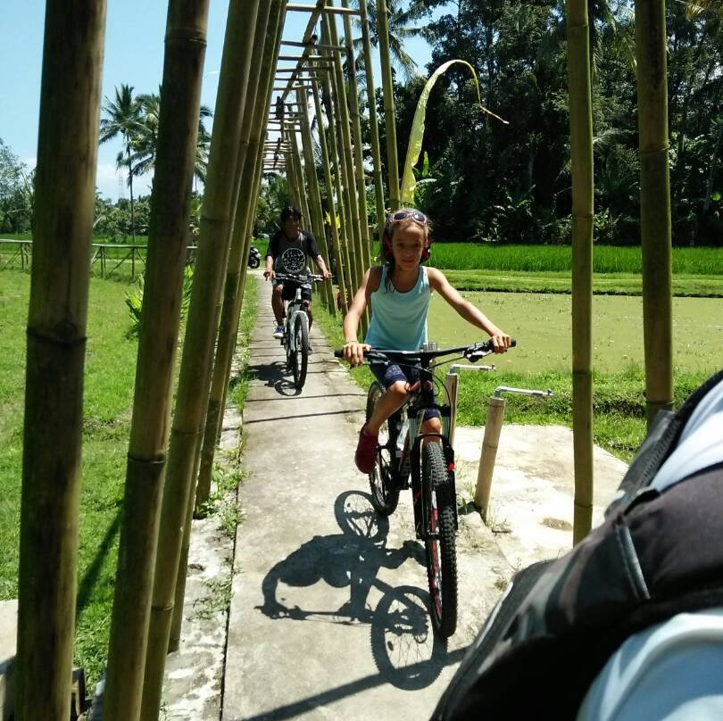 Temuku Aya - Bali Farming Life-达巴南必去景点