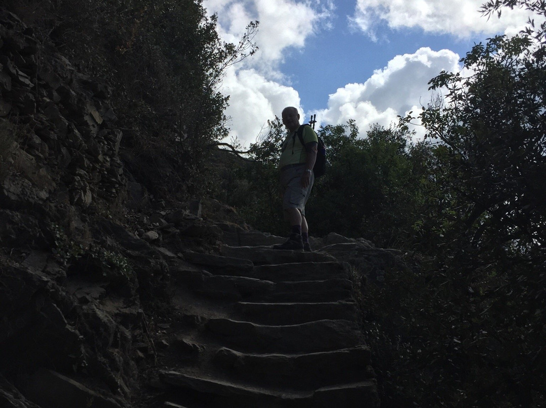 Path N. 6D-Corniglia必去景点