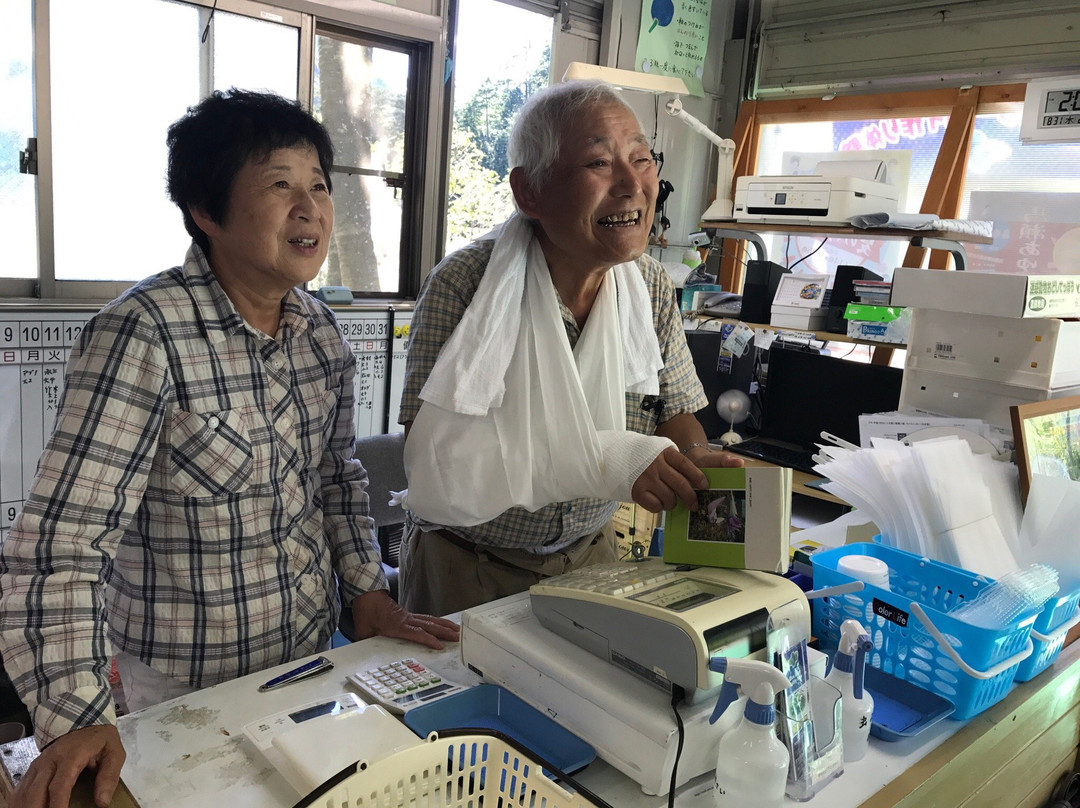 Maze Kaore Kenko Farm-下吕市必去景点
