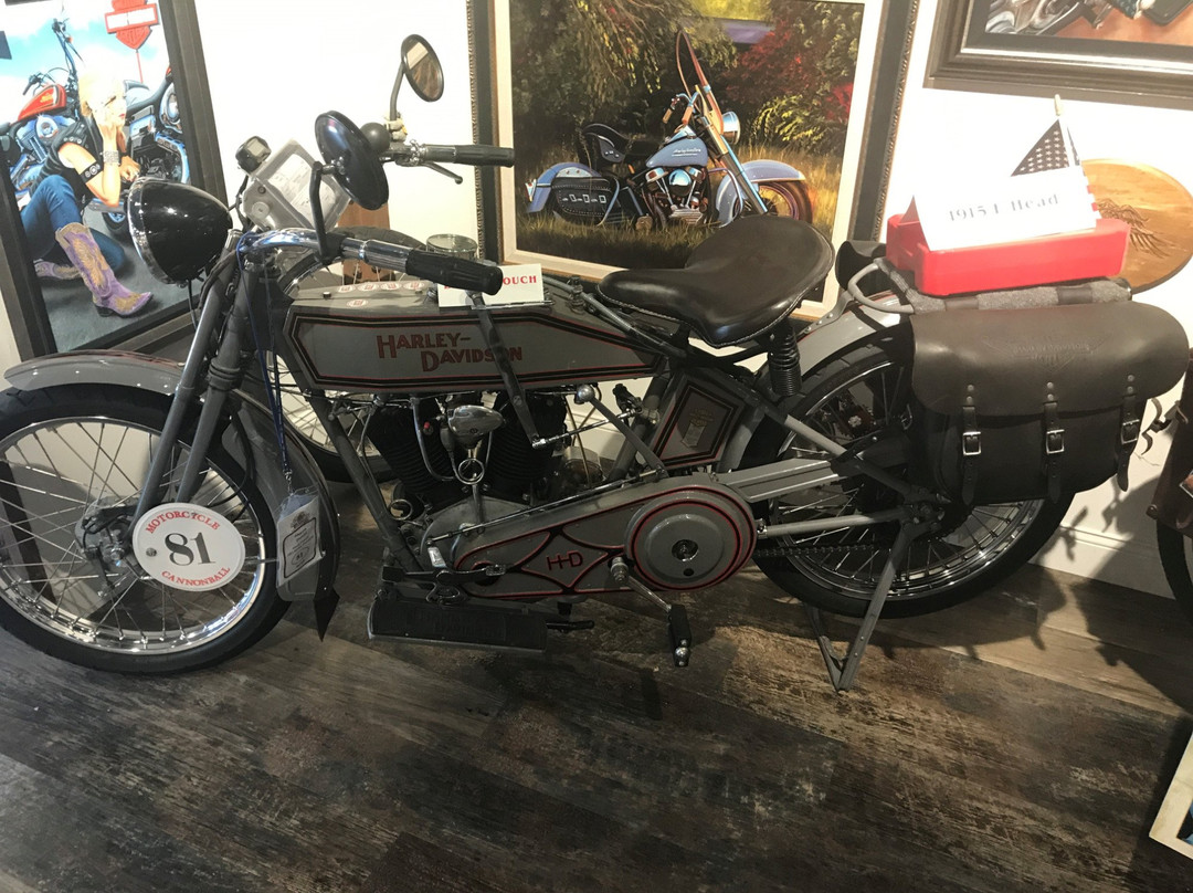 Scott Jacobs Studio-戴德伍德必去景点