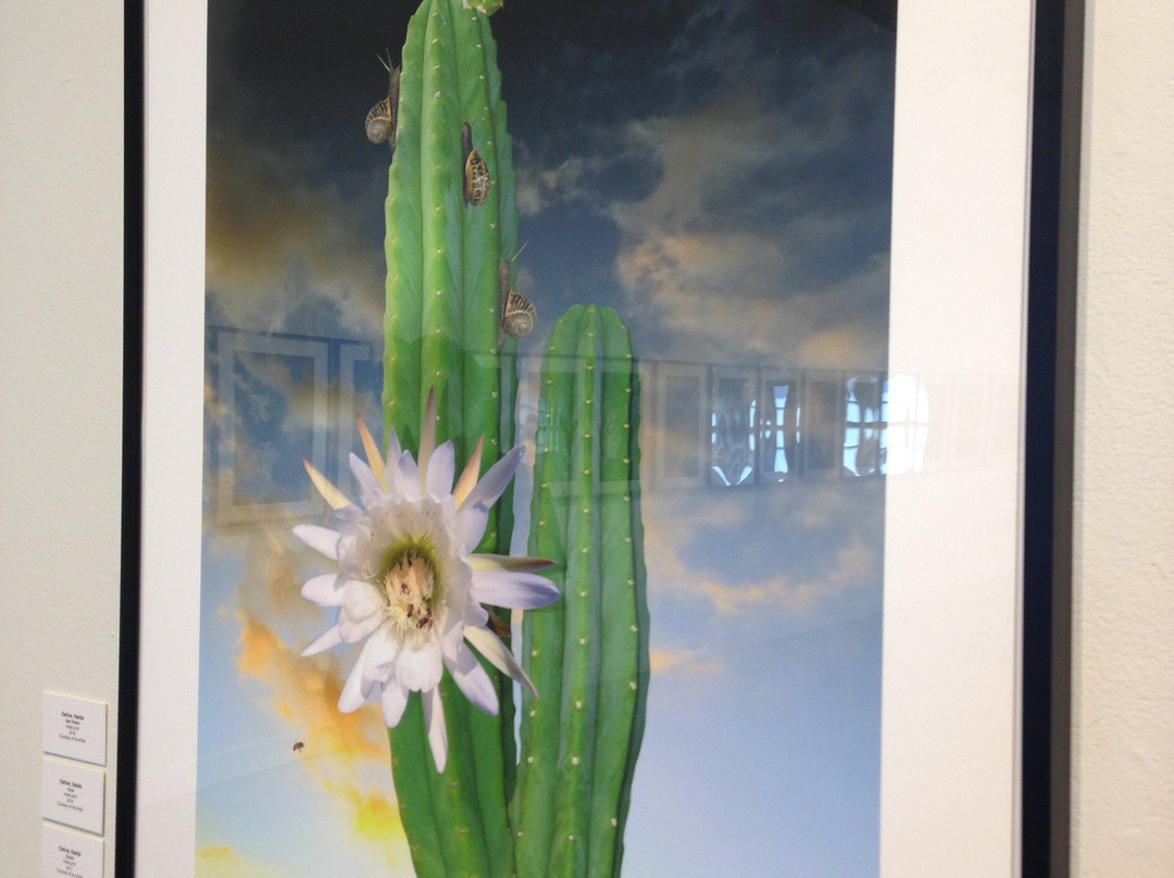 Riverside Art Museum-里弗赛德必去景点