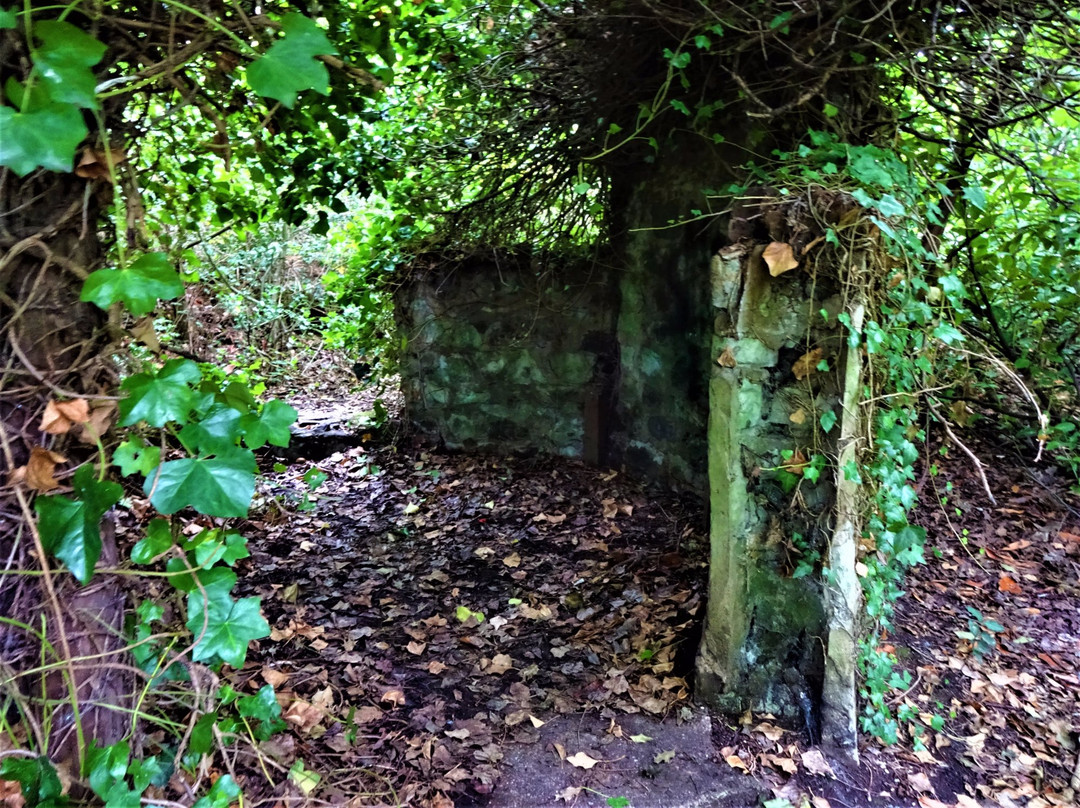 Haden Hill House Museum and Old Hall景点图片