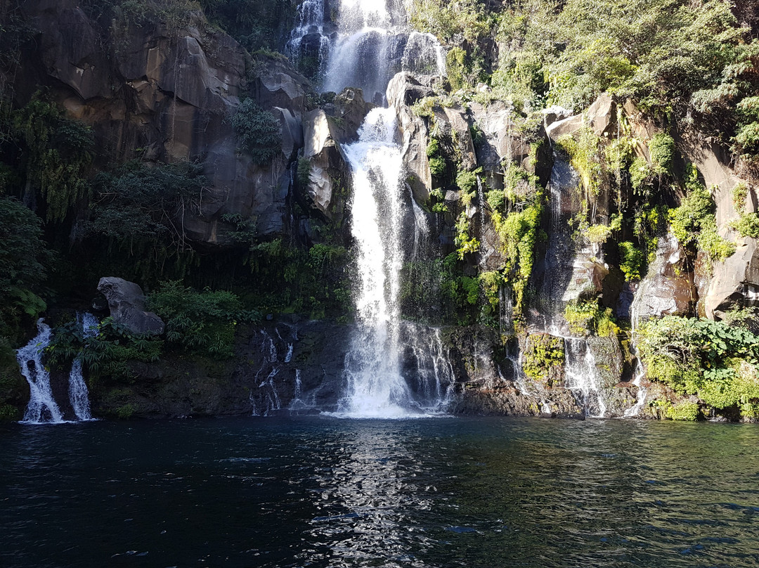 Bassin Cormoran景点图片