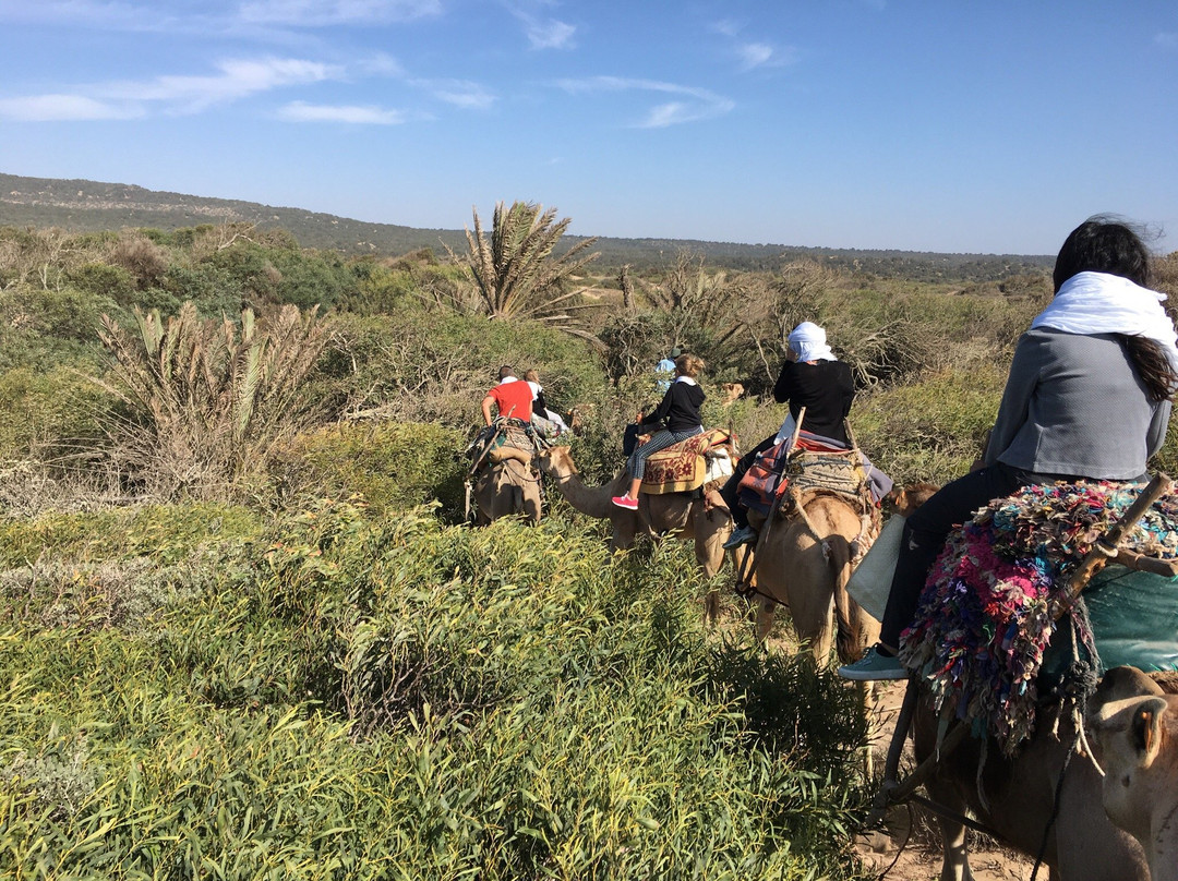 Rando For You-索维拉必去景点