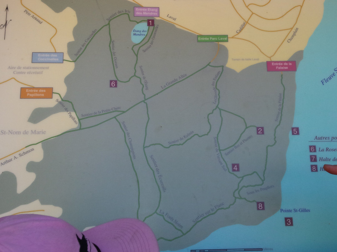 Boise de la Pointe St Gilles-Baie Comeau必去景点