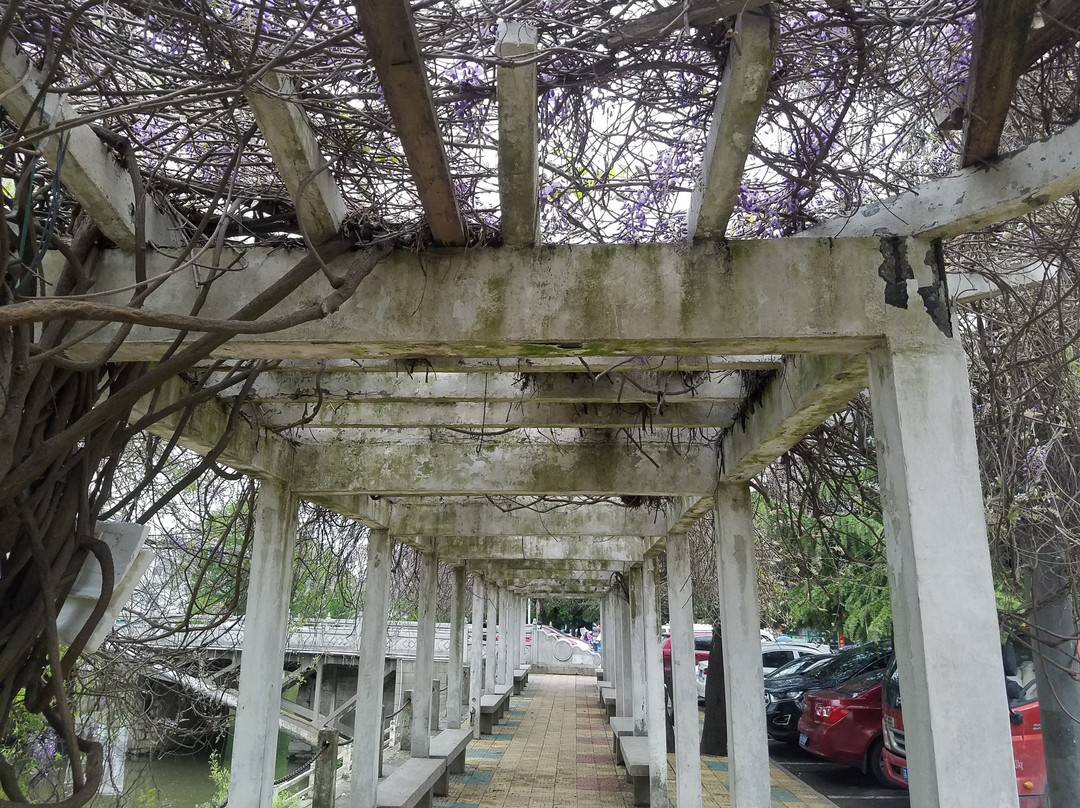 仪征鼓楼街-仪征市必去景点