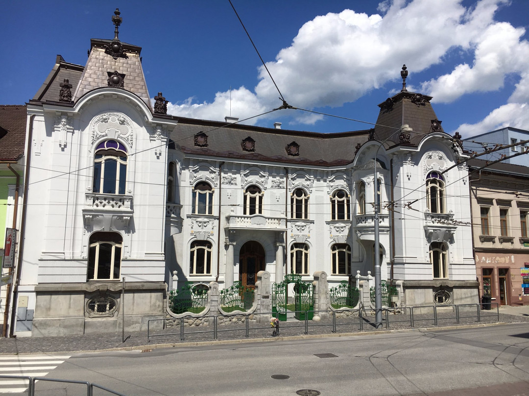 Rosenfeldov  Palace-Zilina必去景点