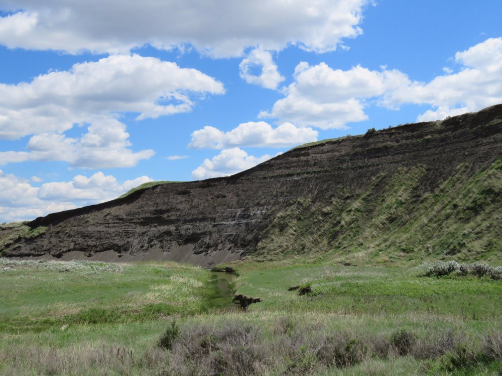 American Prairie National Discovery Center-Lewistown必去景点