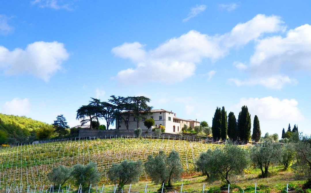 Bindi Sergardi Estates & Vineyards景点图片