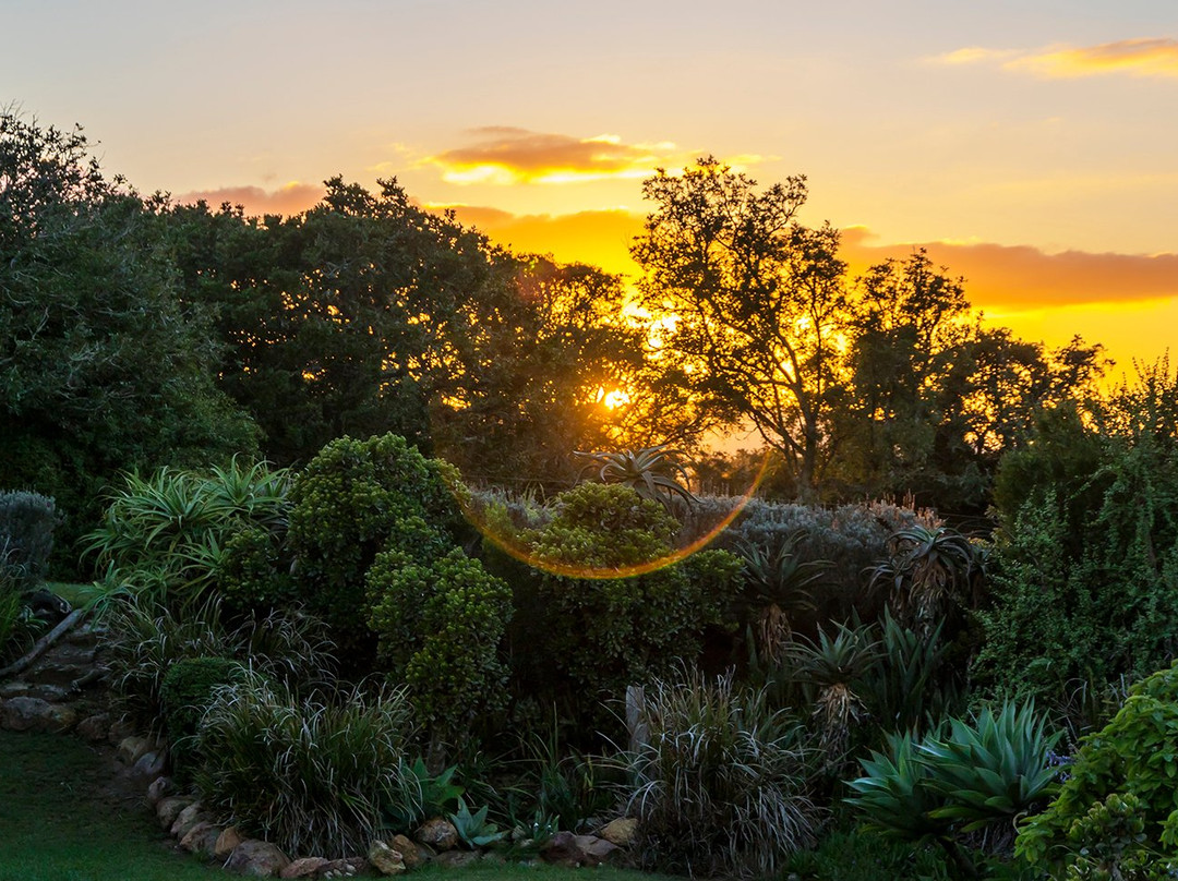 Tootabi Hunting Safaris-Paterson必去景点