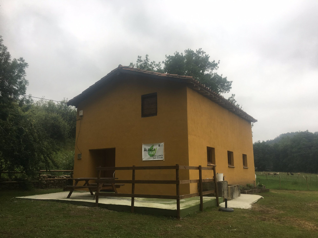 Alpacas de la Tierruca景点图片