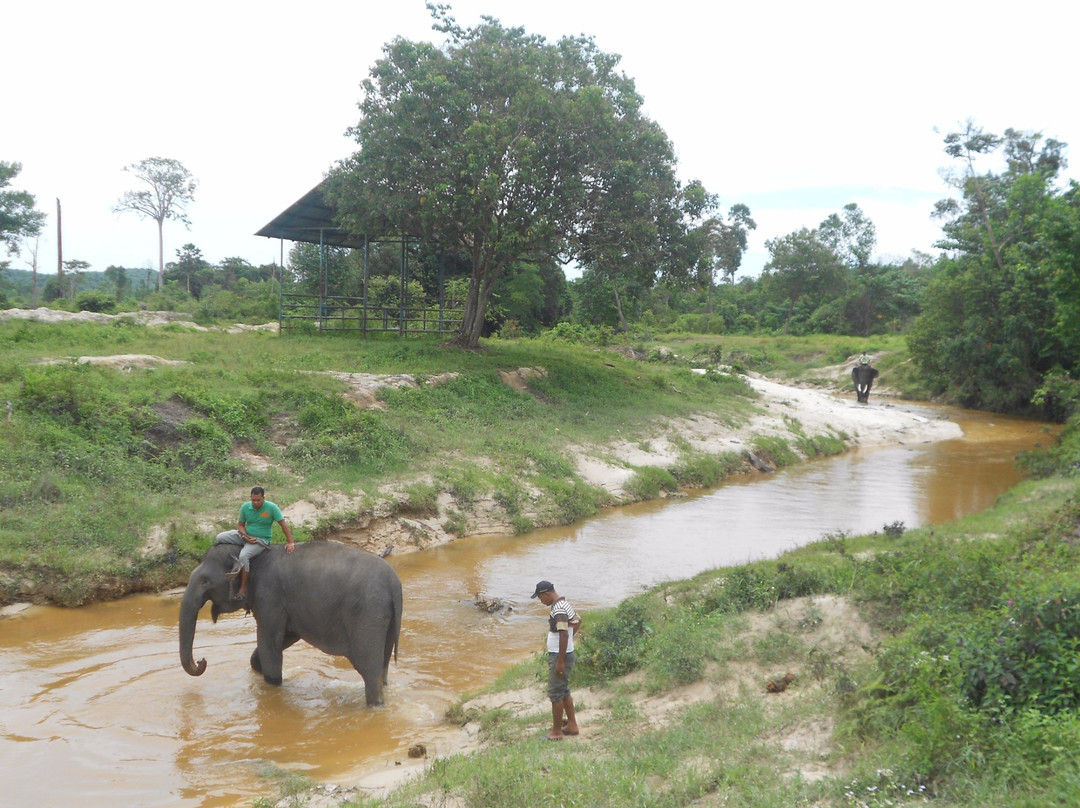 Minas Elephant Training Centre-北干巴鲁必去景点