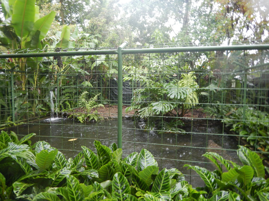 Snake Garden景点图片