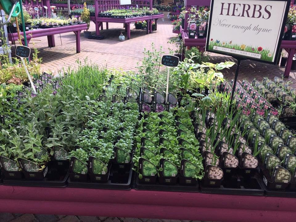 Ardardan Farm Shop, Garden Nursery, and Tearoom景点图片