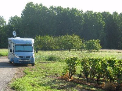 Domaine de la Méchinière景点图片