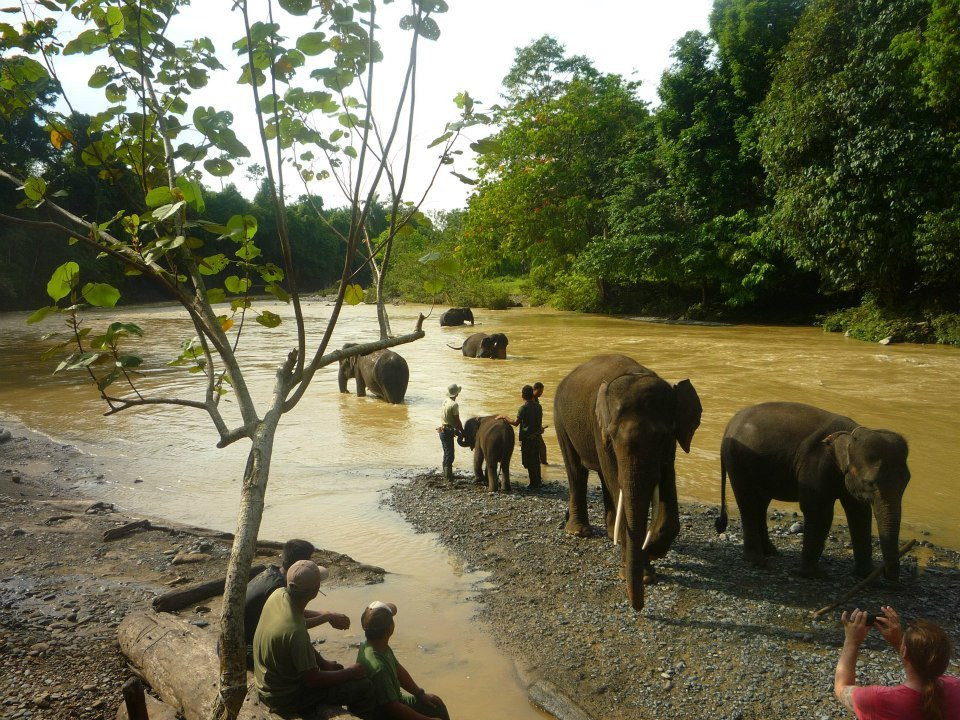 Bukit Lawang Planet-武吉拉旺必去景点